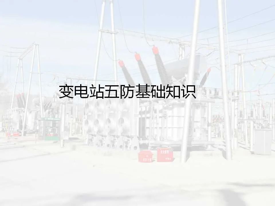 J9集团-国际站最新官网